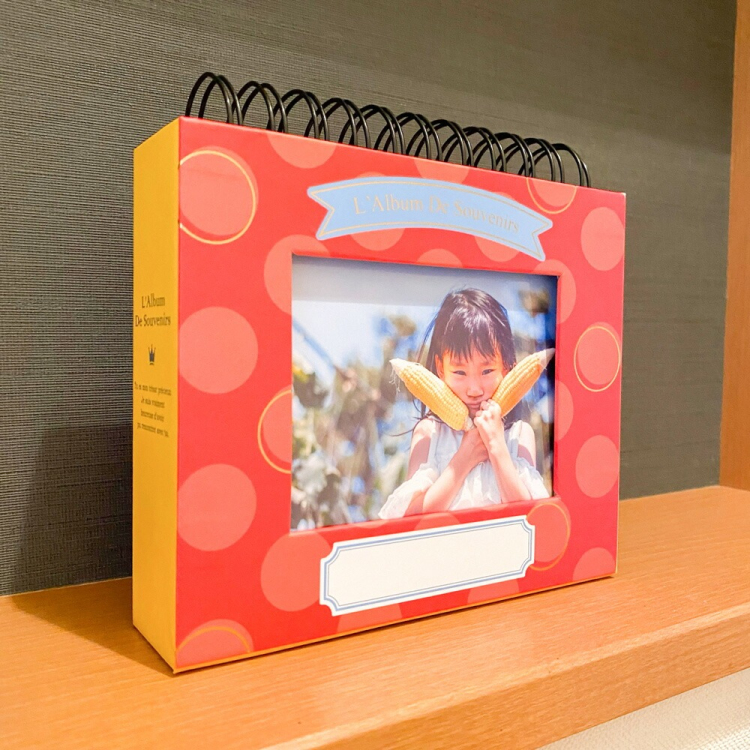 アルバム ナカバヤシ フォトランク フレームケースアルバム L判1段60枚 ポケットアルバム A-FTPC-103-Y イエローの商品画像14枚目