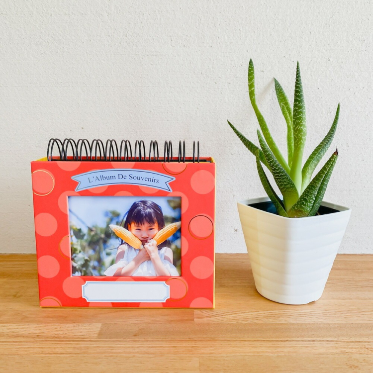 アルバム ナカバヤシ フォトランク フレームケースアルバム L判1段60枚 ポケットアルバム A-FTPC-103-R レッドの商品画像16枚目