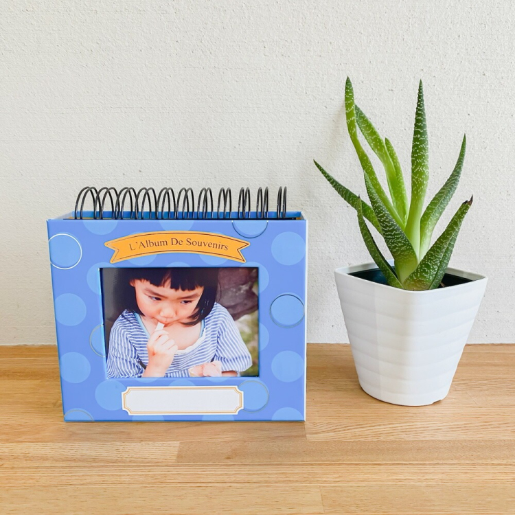 アルバム ナカバヤシ フォトランク フレームケースアルバム L判1段60枚 ポケットアルバム A-FTPC-103-B ブルーの商品画像16枚目