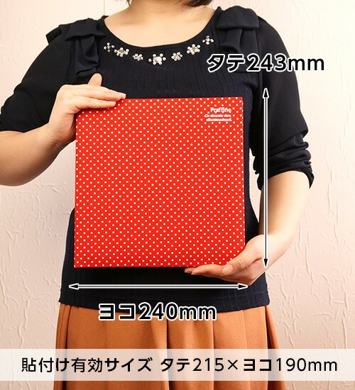 ナカバヤシ Praffine【プラフィーネ】デミ ア-DP-144-Yイエローの商品画像7枚目