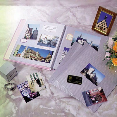 ナカバヤシ カラー台紙 シルバー台紙エンボス入L ア-LMR-5N　(5枚組)の商品画像2枚目