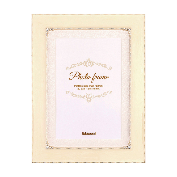 ナカバヤシ フォトフレーム/金属製/スクエア/2LKG F-TA-120-2LKG