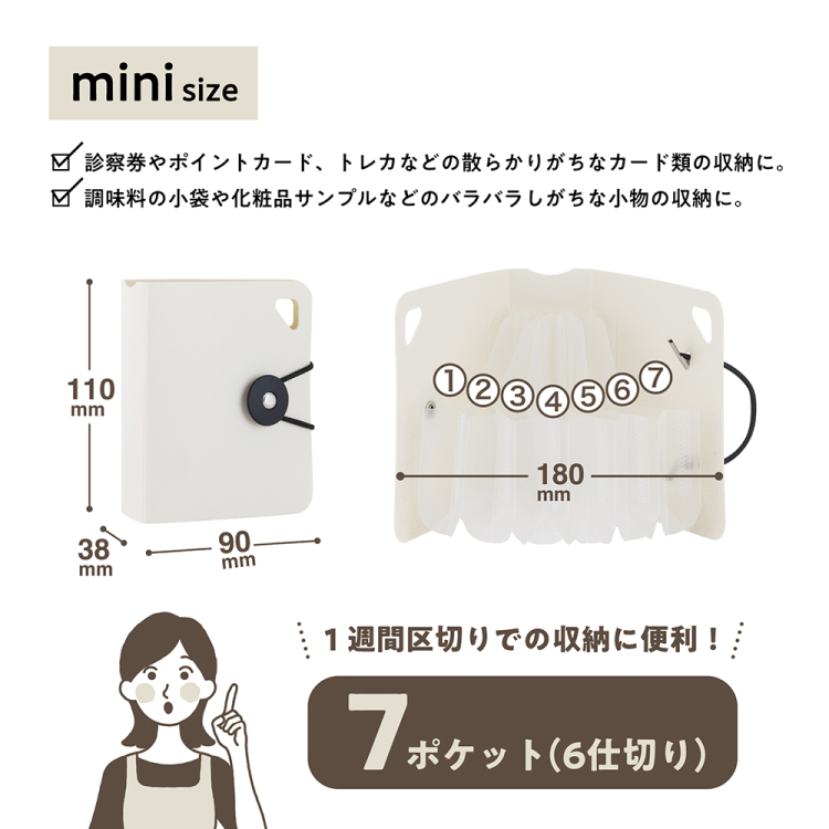 ナカバヤシ かたづくファイル/mini/ホワイト DF-KTDF-MN-Wの商品画像20枚目