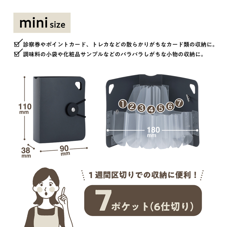 ナカバヤシ かたづくファイル/mini/ブラック DF-KTDF-MN-Dの商品画像20枚目