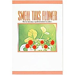 ナカバヤシ DPポケットアルバム スメルディスフラワー　ア-PA-42-40