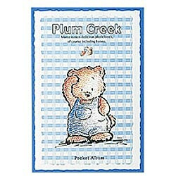 ナカバヤシ DPポケットアルバム プラムクリーク　収納写真32枚用　ア-PA-50-32の商品画像