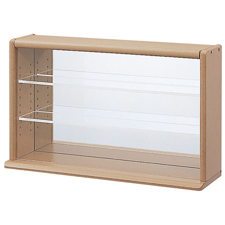 ナカバヤシ コレクションケース ミニワイド 透明アクリル棚板タイプ CCM-N002S