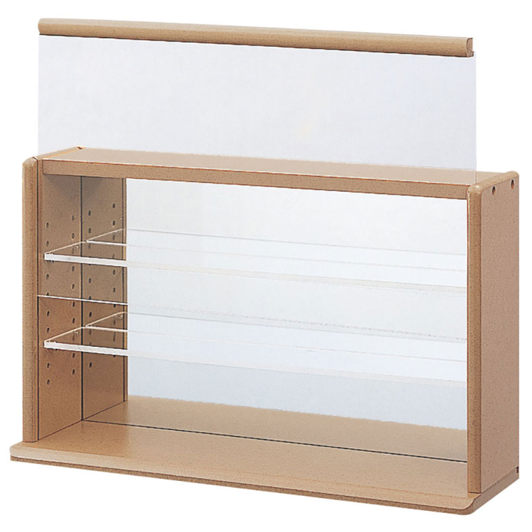 ナカバヤシ コレクションケース ミニワイド 透明アクリル棚板タイプ CCM-N002Sの商品画像2枚目