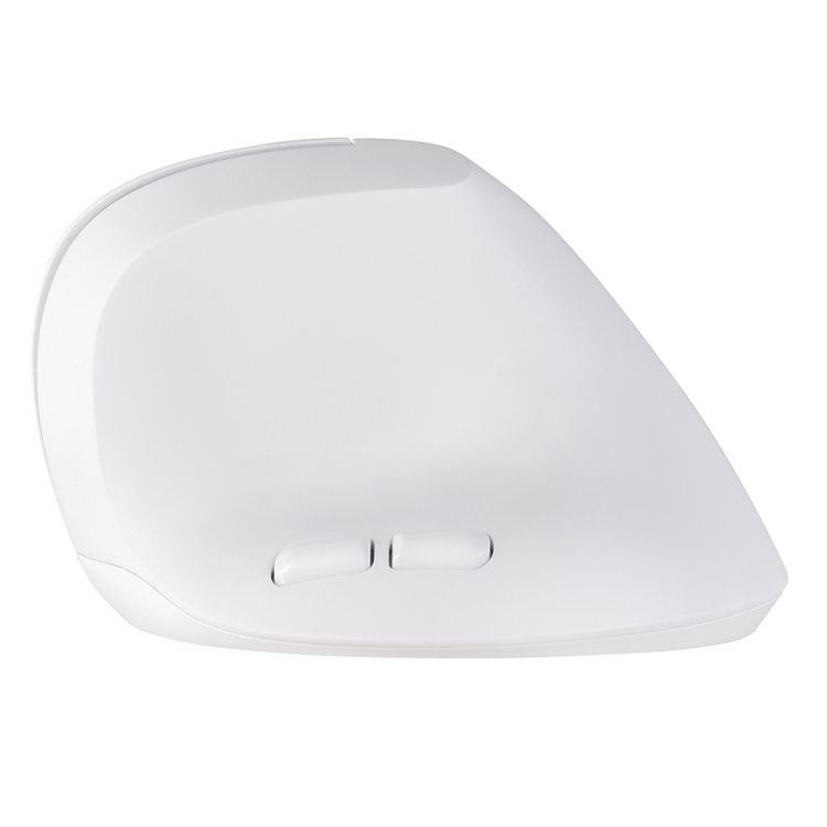 ナカバヤシ 無線静音5ボタンBlueLEDエルゴマウス/ホワイト MUS-RKF251W (tm)の商品画像5枚目