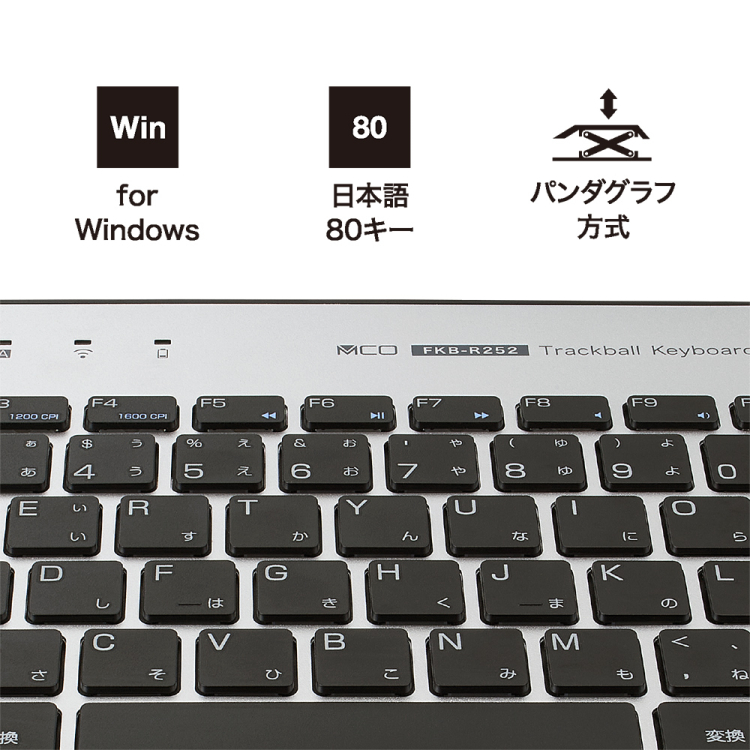 ナカバヤシ 無線トラックボールキーボード/シルバー FKB-R252SL (tm)の商品画像8枚目