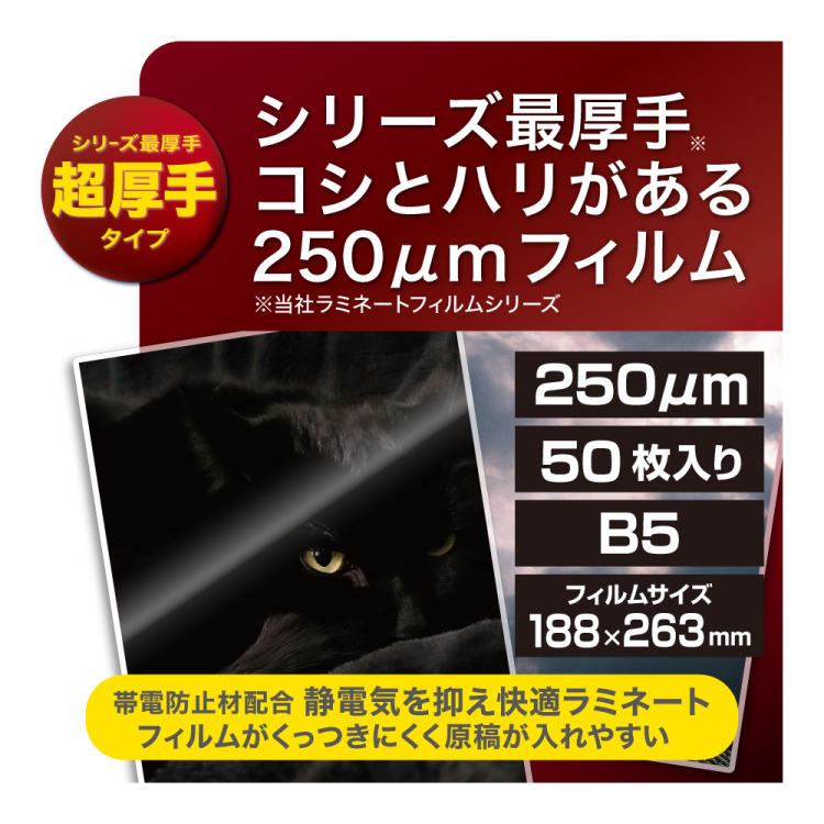 ナカバヤシ　ラミネートフィルムE2　250μm　50枚入　B5　LPR-B5E2-25M　(tm)の商品画像3枚目