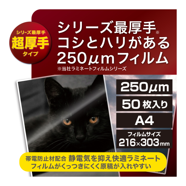 ナカバヤシ　ラミネートフィルムE2　250μm　50枚入　A4　LPR-A4E2-25M　(tm)の商品画像3枚目