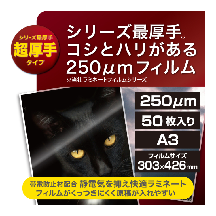 ナカバヤシ ラミネートフィルムE2 250μm 50枚入 A3 LPR-A3E2-25M (tm)の商品画像3枚目