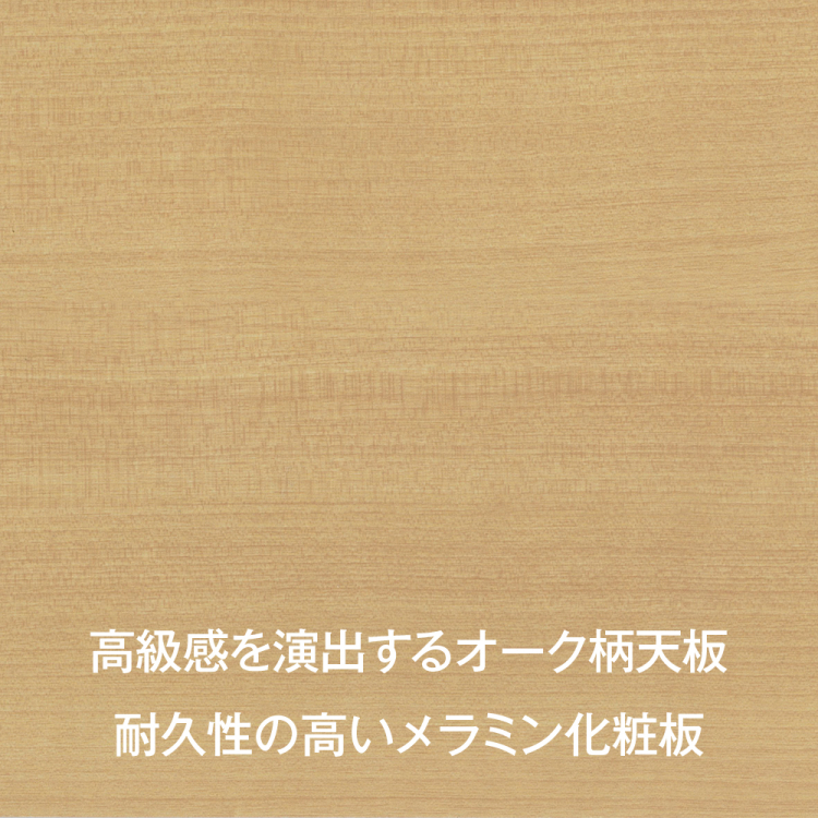 ナカバヤシ　アバンテ-リネア ダストストレイジ 1列／マットホワイト　ATF-DB1MWの商品画像19枚目