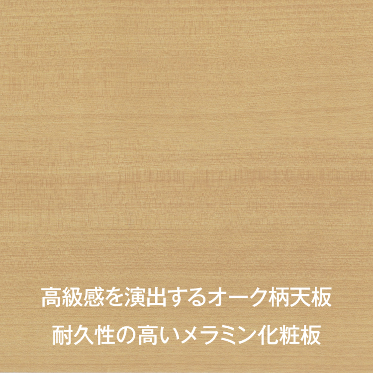 ナカバヤシ アバンテ-リネア ダストストレイジ 2列/マットホワイト ATF-DB2MWの商品画像9枚目