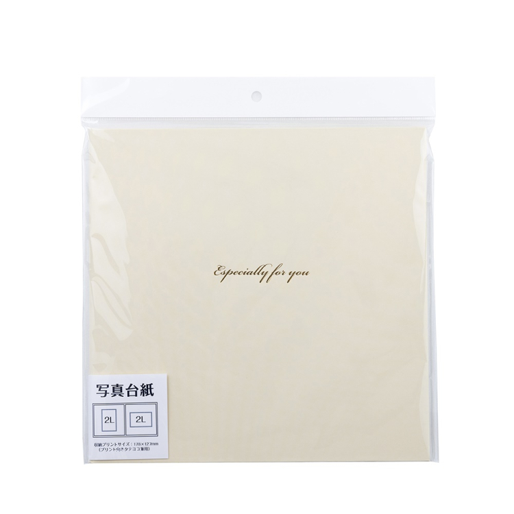 ナカバヤシ 写真台紙/スクエア2L判2面 VM2L-301-W ホワイトの商品画像2枚目