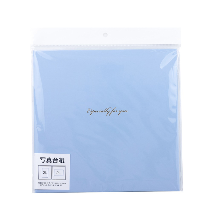 ナカバヤシ 写真台紙/スクエア2L判2面 VM2L-301-B ブルーの商品画像2枚目