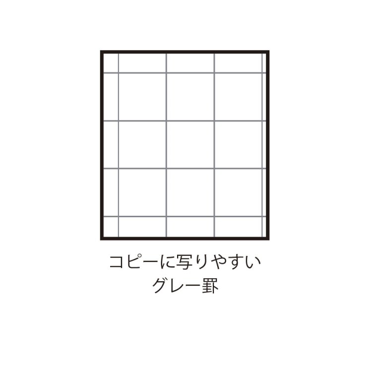 ナカバヤシ ロジカル・シンクノート・A3サイズ・ヨコ 天ノリタイプ 方眼5mmブラック・グレー罫 RP-A301-DNの商品画像2枚目