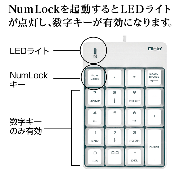 ナカバヤシ シンプルUSB有線テンキーボード/ホワイト TNK-SU234W　(tm)の商品画像6枚目