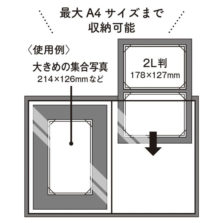 ナカバヤシ cotto. (コット)思い出フォトホルダー 集合写真 A4 1段ポケット A-COPH-160B ブルーの商品画像4枚目