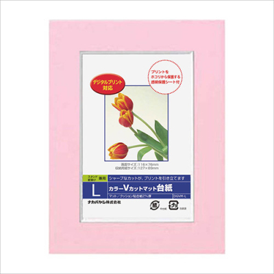 ナカバヤシ DigioカラーVカットマット台紙 L ピンク DGVM-L-P/V