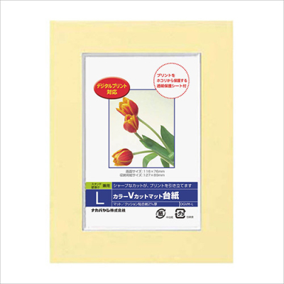 ナカバヤシ DigioカラーVカットマット台紙 L イエロー DGVM-L-Y/V