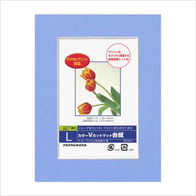 ナカバヤシ DigioカラーVカットマット台紙 L ブルー DGVM-L-B/V