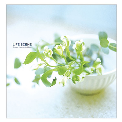 ナカバヤシ フエルアルバムDigio ライフシーン ブルー LPF-1001-B