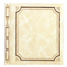 ナカバヤシ フエルアルバムエスティーム ア-LG-301-W白