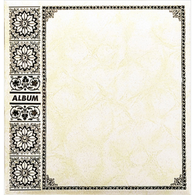 ナカバヤシ フエルアルバム L プリンス ア-LPA-15A 白