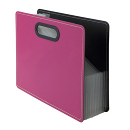 ナカバヤシ IROKATU ドキュメン?gファイル・発泡PP製/A4/ヨコ型 DF-A401E-BP ベリーピンク