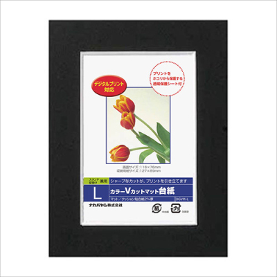 ナカバヤシ DigioカラーVカットマット台紙 L ブラック DGVM-L-D/V