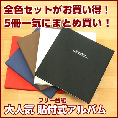5冊組ポケットアルバム ナカバヤシ フォトアルバム 【通販