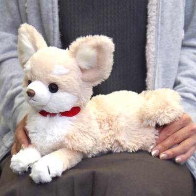 サンレモン　ひざわんこ チワワ CR  P-3002