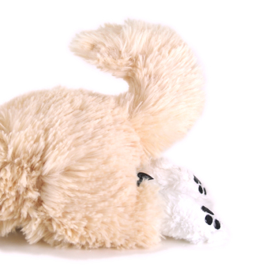 サンレモン　ひざわんこ チワワ CR  P-3002