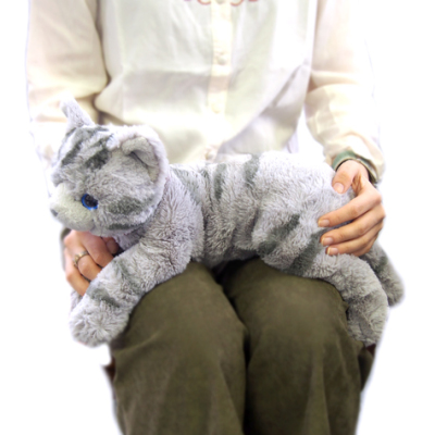 サンレモン　ひざねこ M GY  P-1802