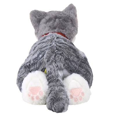 サンレモン ひざねこ S サバシロ P-7812 | ナカバヤシダイレクト