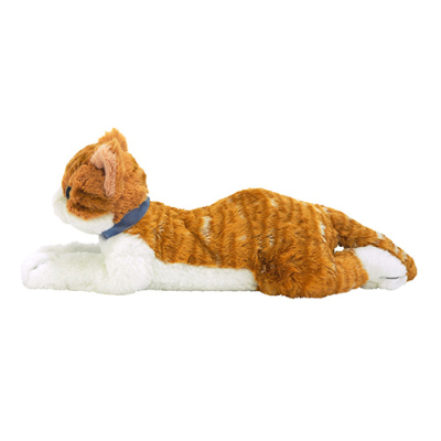 サンレモン ひざねこ S チャシロ P-7822 | ナカバヤシダイレクト