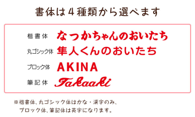 【WEB限定品】【刺しゅう名入れ代込み】ナカバヤシ 身長記録アルバム IT-H-ALBUM-N【取寄品】