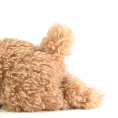 サンレモン　ひざわんこ トイプードル BE  P-3042