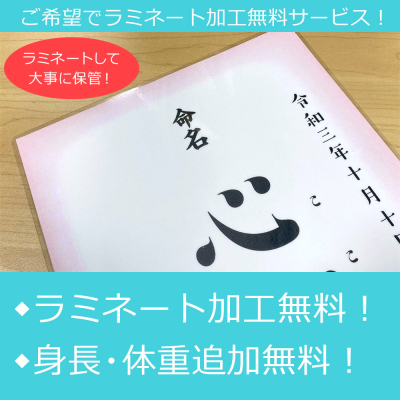 【ディスニーデザイン 命名書 手書き】[選べるデザイン3種][ラミネート加工無料]書道師範による手書きの命名書 【取寄品】