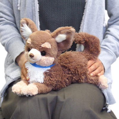 サンレモン ひざわんこ S チワワ BR | ナカバヤシダイレクトショップ