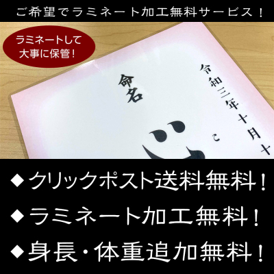 【命名書 手書き】[選べるデザイン10種][ラミネート加工無料]書道師範による手書きの命名書 【取寄品】