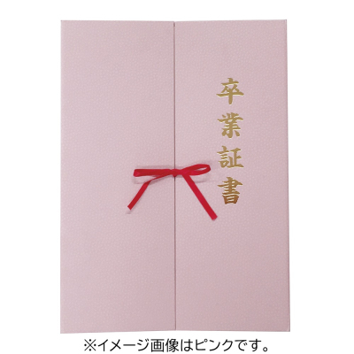 ナカバヤシ　証書ファイル観音開きリボン付きＡ４ブルー　FSK-A4B