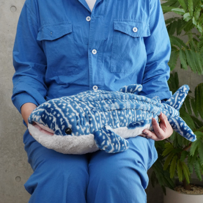 サンレモン　ひざじんべえざめ M