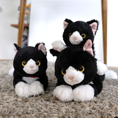 サンレモン ひざねこ　ぬいぐるみ(M)　 ハチワレ