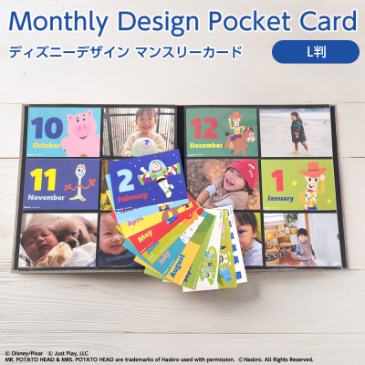 【WEB限定品】 ディズニー マンスリー デザインポケットカード L判 IT-DPCM-D-L-04 トイ・ストーリー