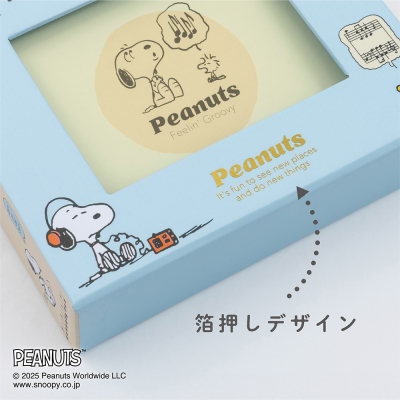【アルバムの日記念特価】ナカバヤシ フォトランク フレームケースL ピーナッツ スヌーピー ブルー A-FTPC-209-1の商品画像9枚目