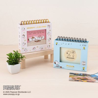 【アルバムの日記念特価】ナカバヤシ フォトランク フレームケースL ピーナッツ スヌーピー ブルー A-FTPC-209-1の商品画像12枚目
