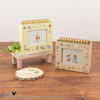 【アルバムの日記念特価】ナカバヤシ フォトランク フレームケースL ディズニー ミッキー&ミニー A-FTPC-211-1の商品画像14枚目